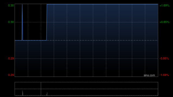 私募股票网 侨洋国际控股公布维文会计师事务所获委任为新核数师
