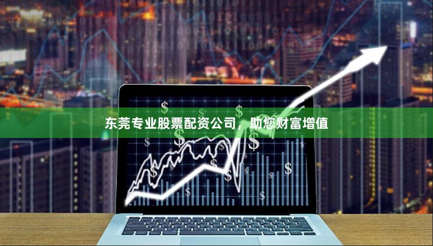 东莞专业股票配资公司，助您财富增值