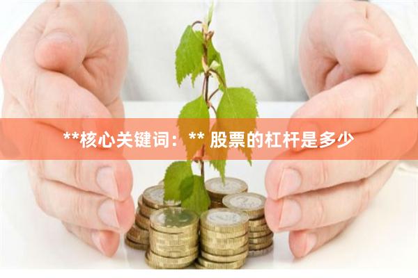 **核心关键词：** 股票的杠杆是多少