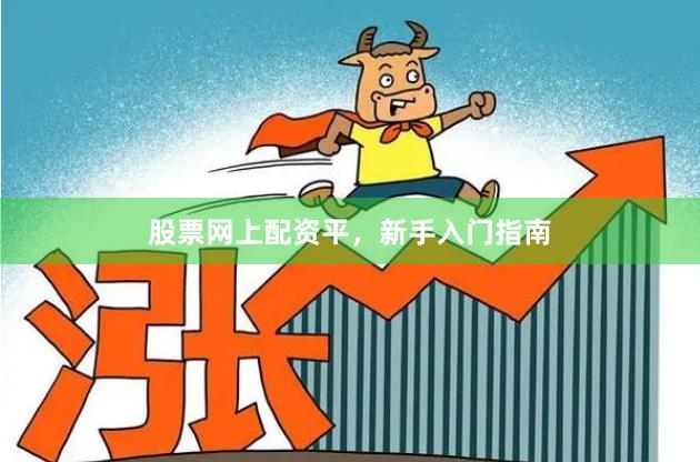 股票网上配资平，新手入门指南