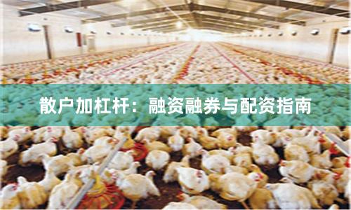 散户加杠杆：融资融券与配资指南